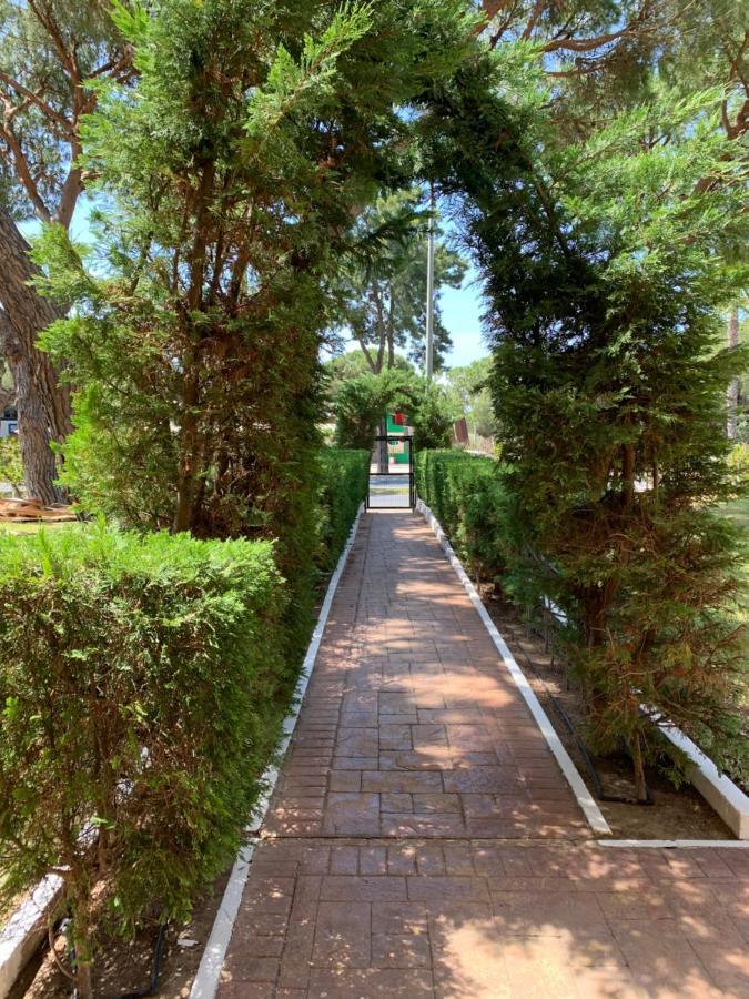 Apartamento A Pie De Playa El Portil Exteriör bild